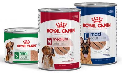 Free Royal Canin Wet Food Selection