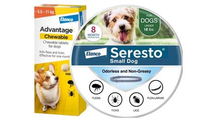 Free Ticks and Fleas Prevention Dog Collar or Tablets