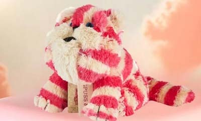 Free Warmies Bagpuss Cats