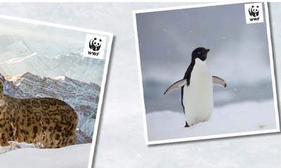 Free WWF Christmas Cards