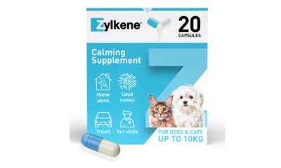 Free Zylkene Pet Calming Supplements