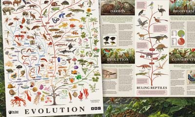 Free BBC Evolution Poster