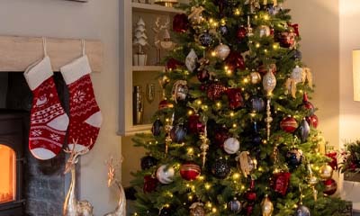 Win a 7ft Christmas Tree worth &pound;500