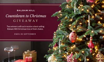 Win a Balsam Hill Christmas Tree of Your Choice
