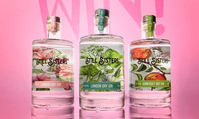 Win a Still Sisters Gin and Godminster Cheese Hamper