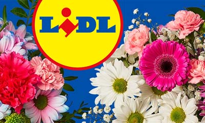 Free Lidl Mother's Day Flowers
