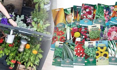 Free Seeds and Growing Guide