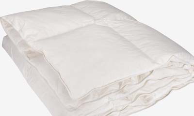 Free Duck Feather Duvet