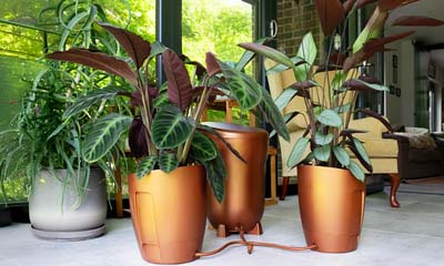 Free Automatic Watering System Plant Pot